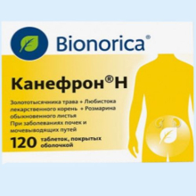КАНЕФРОН Н №120 ТАБ.П/О/ (ДРАЖЕ)