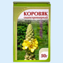 КОРОВЯК (МЕДВЕЖЬЕ УХО) ЦВЕТЫ 30Г.